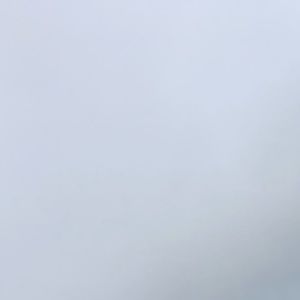 Meet your Posher, Lucy